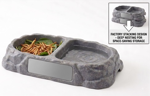 Rock reptile bowl
