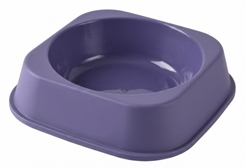 pet bowl